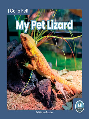 cover image of My Pet Lizard